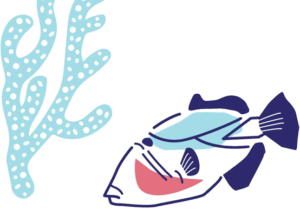 Humuhumu-AlgePoke-Bar